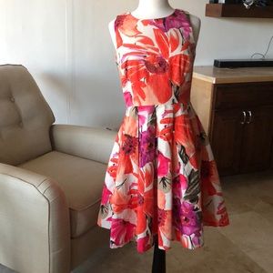 Fit & Flare Dress
ELIZA J